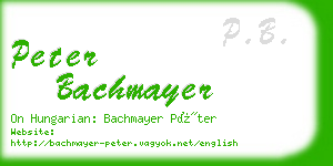 peter bachmayer business card